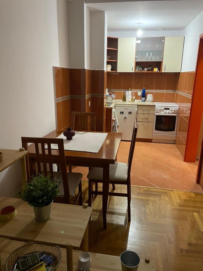 Apartman Sasa Podgorica Zewnętrze zdjęcie